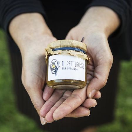 Il Pettirosso B&B Grottaferrata Zewnętrze zdjęcie