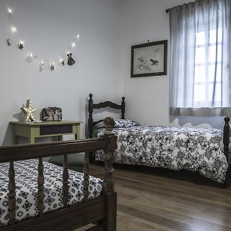 Il Pettirosso B&B Grottaferrata Zewnętrze zdjęcie
