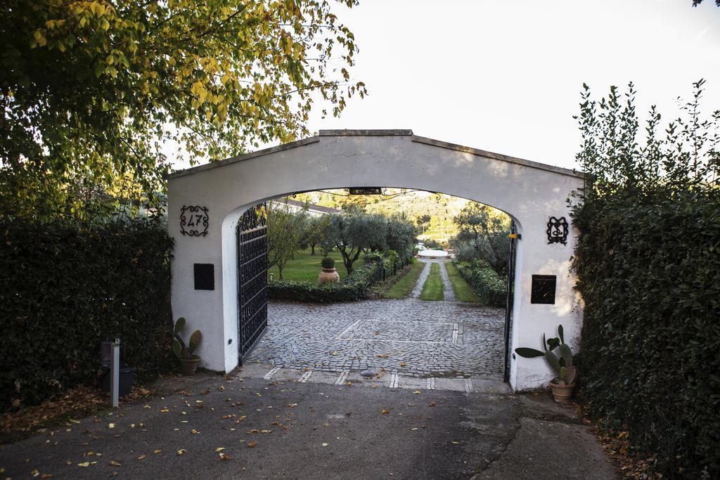 Il Pettirosso B&B Grottaferrata Zewnętrze zdjęcie