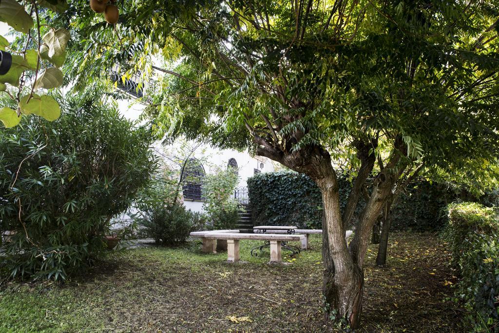 Il Pettirosso B&B Grottaferrata Zewnętrze zdjęcie