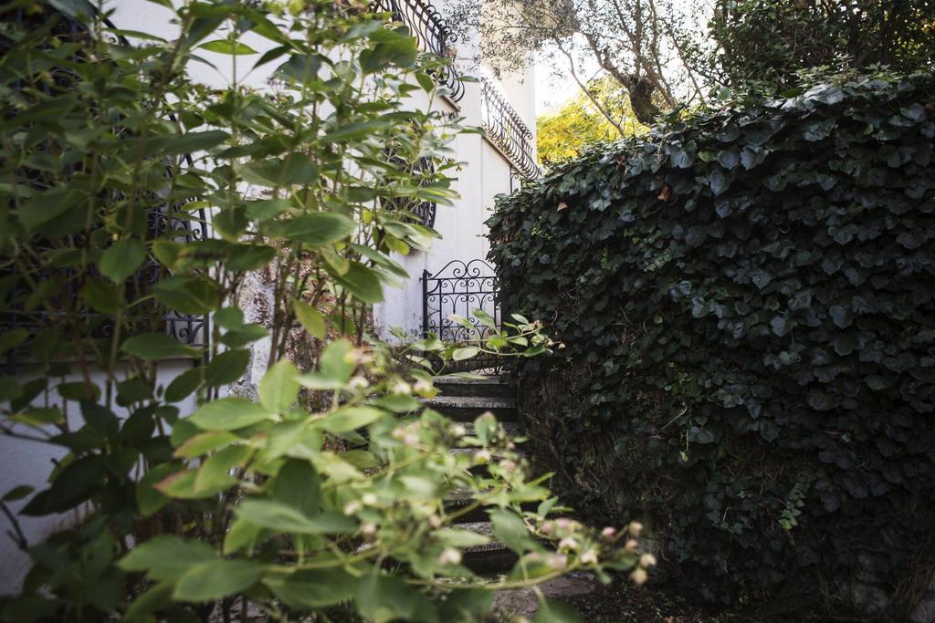 Il Pettirosso B&B Grottaferrata Zewnętrze zdjęcie