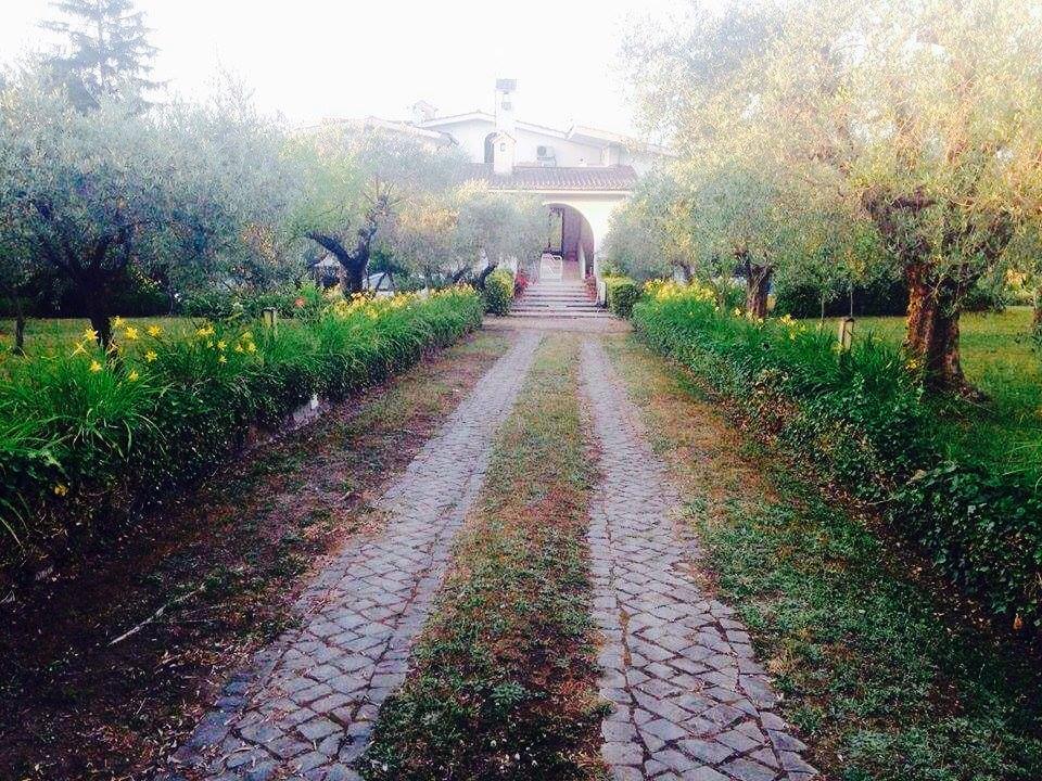 Il Pettirosso B&B Grottaferrata Zewnętrze zdjęcie