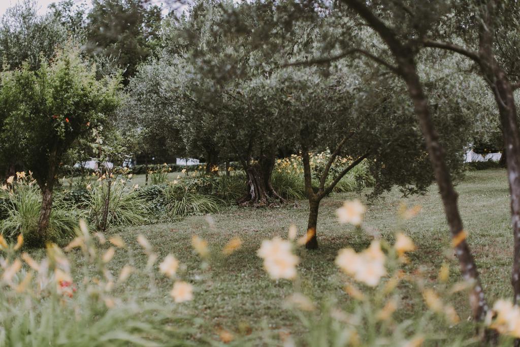 Il Pettirosso B&B Grottaferrata Zewnętrze zdjęcie