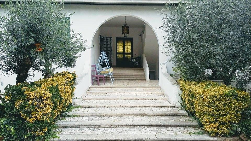 Il Pettirosso B&B Grottaferrata Zewnętrze zdjęcie