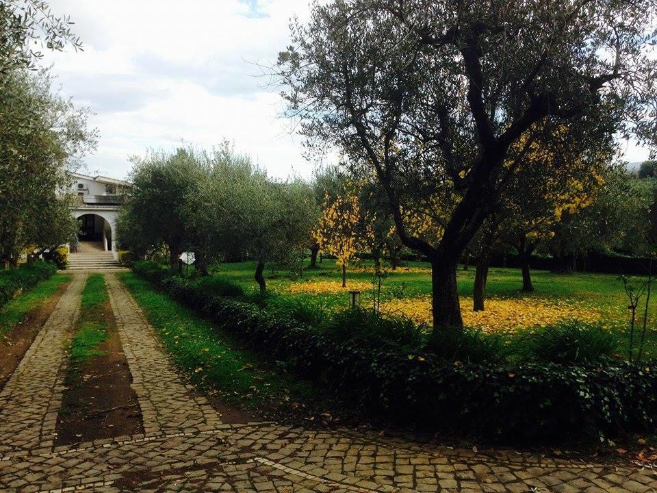 Il Pettirosso B&B Grottaferrata Zewnętrze zdjęcie