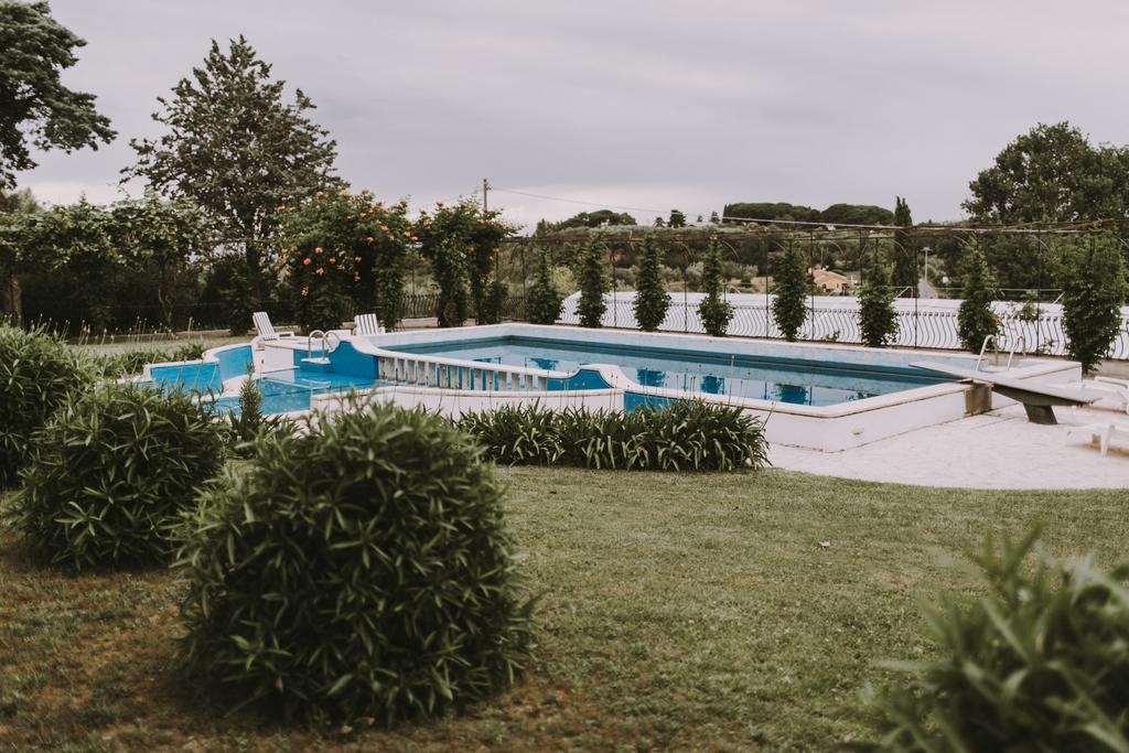 Il Pettirosso B&B Grottaferrata Zewnętrze zdjęcie