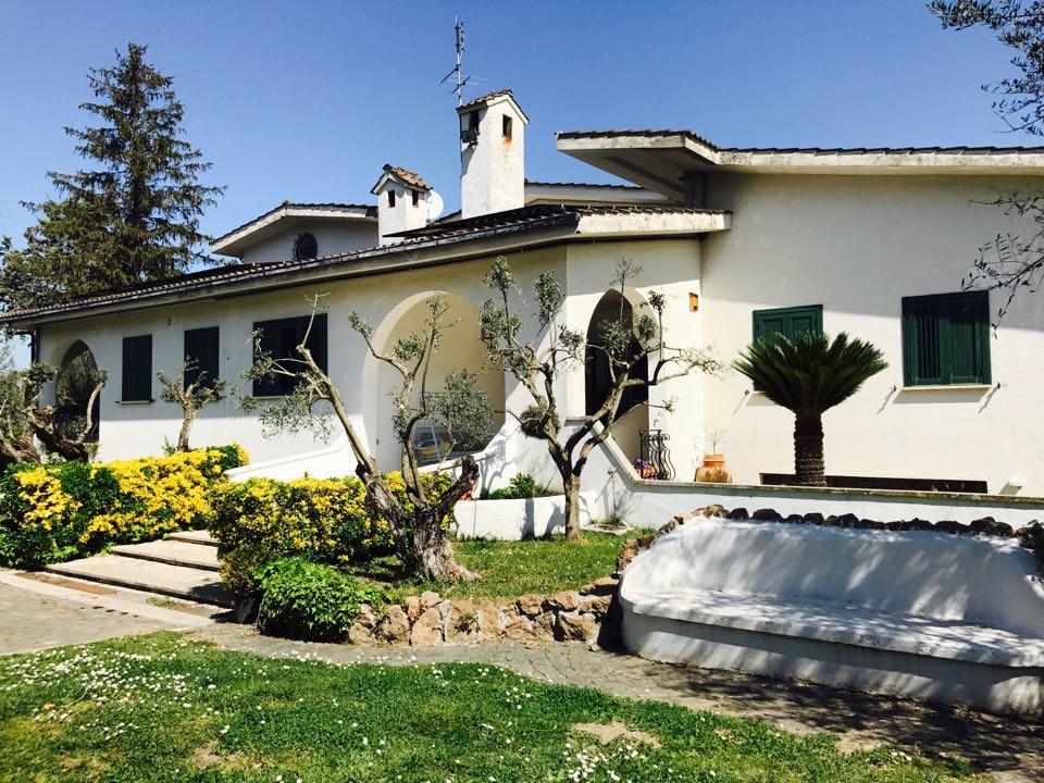 Il Pettirosso B&B Grottaferrata Zewnętrze zdjęcie