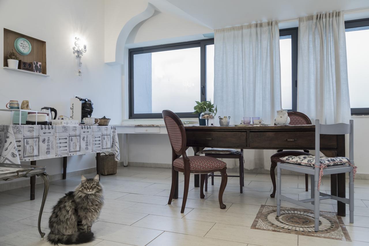 Il Pettirosso B&B Grottaferrata Zewnętrze zdjęcie