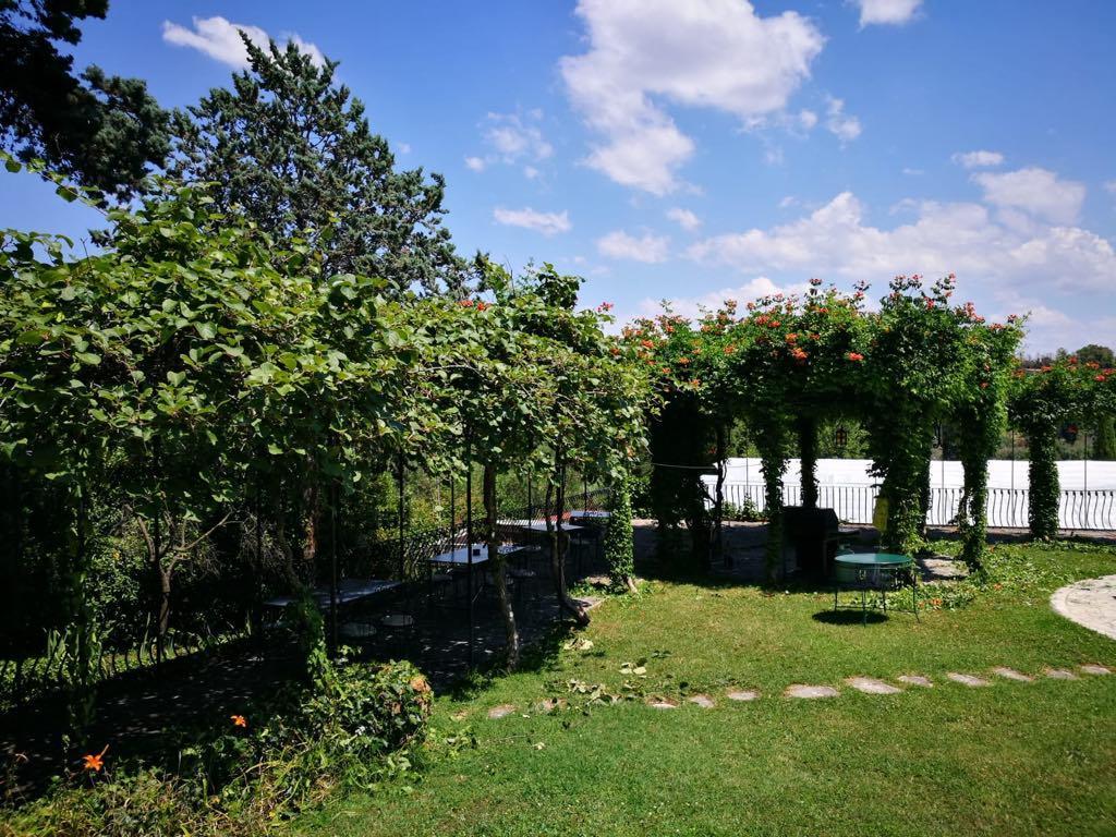 Il Pettirosso B&B Grottaferrata Zewnętrze zdjęcie