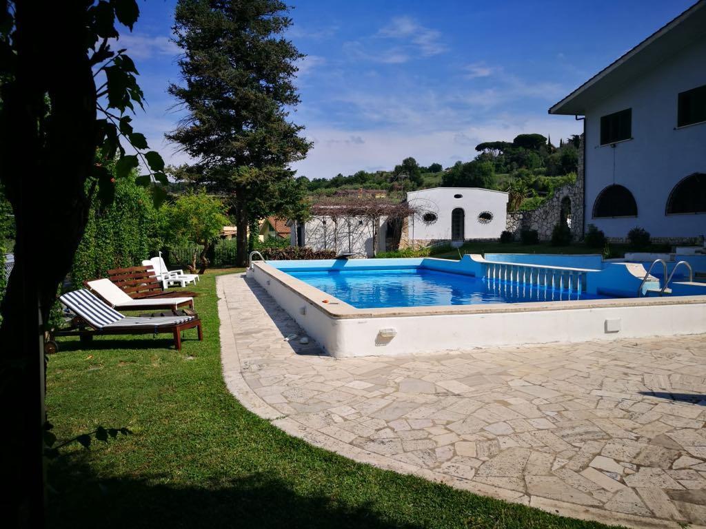 Il Pettirosso B&B Grottaferrata Zewnętrze zdjęcie